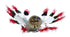 Navajo American Indian Eagle Kachina Doll SX10056